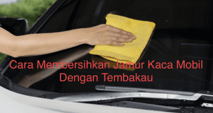 Cara Membersihkan Jamur Kaca Mobil Dengan Tembakau